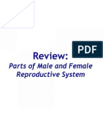 Zoology 5 - Reproductive, Sperm & Ovum Formation