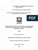 Confitado Proyecto PDF