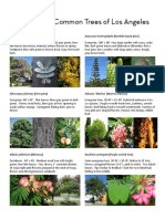 Common Trees of LA PDF