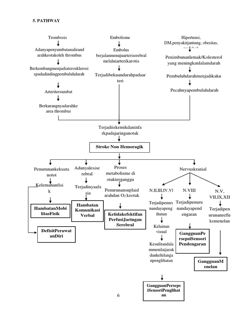 @2. Pathway SNH | PDF