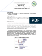 DIGESTION-Y-ABSORCION-DE-PROTEINAS-1.docx