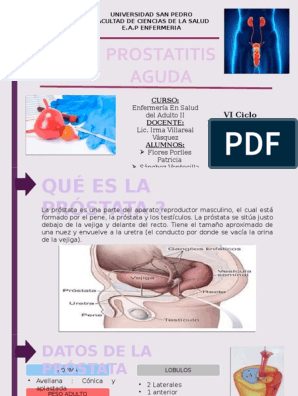 prostatitis aguda pdf 2022 patella femorális fájdalom szindróma
