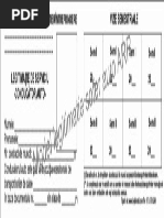 Model-legitimatie-sofer-auto-agreata-ARR