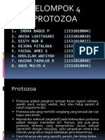 PROTOZOA KELOMPOK 4