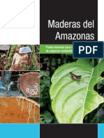 archivo_amazonas_web_2.pdf