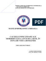 Cauzele Infecţioase Ale Morbidităţii La Puii de Carne, În Zona de Vest A României