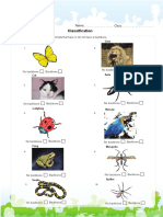 Classify Animals With and Without A Backbone PDF