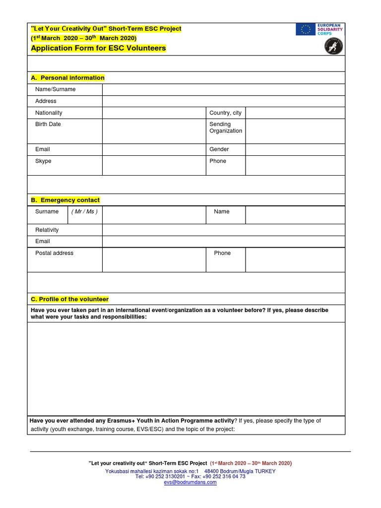 Short-Term ESC Project Application Form | PDF | Behavior Modification ...