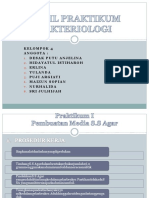 Hasil Praktikum Bakteriologi