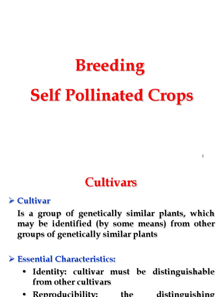 An InDepth Comparison of Pure Line Selection and Mass Selection
