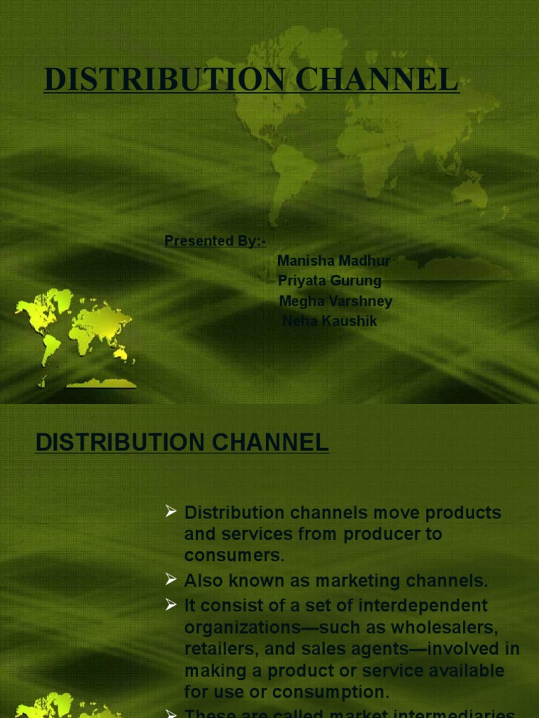 Distribution Channels Guide | PDF