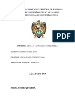 VISITA A CUCHOQUESERA-2019.docx