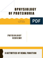 Physiology of Proteinuria