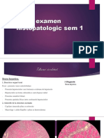 Lame Examen Histopatologic Sem 1 PDF