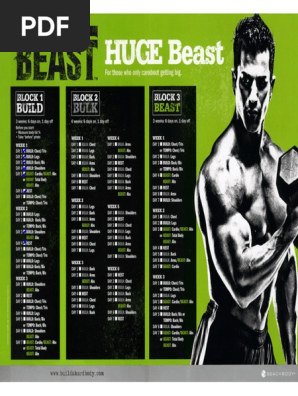 Body Beast Workout Schedule (Huge Beast) PDF | PDF