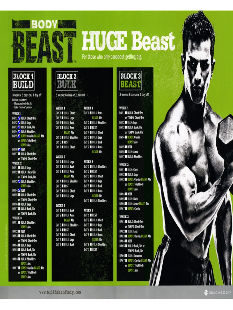 Body Beast Workout Schedule (Huge Beast) Pdf | Pdf