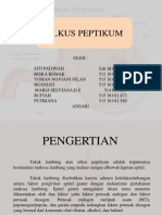 Ulkus Peptik Kel. 2