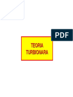 Teoria Turbionara PDF