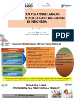 Gangguan Indera Dan Fungsional - Overview - Fifo