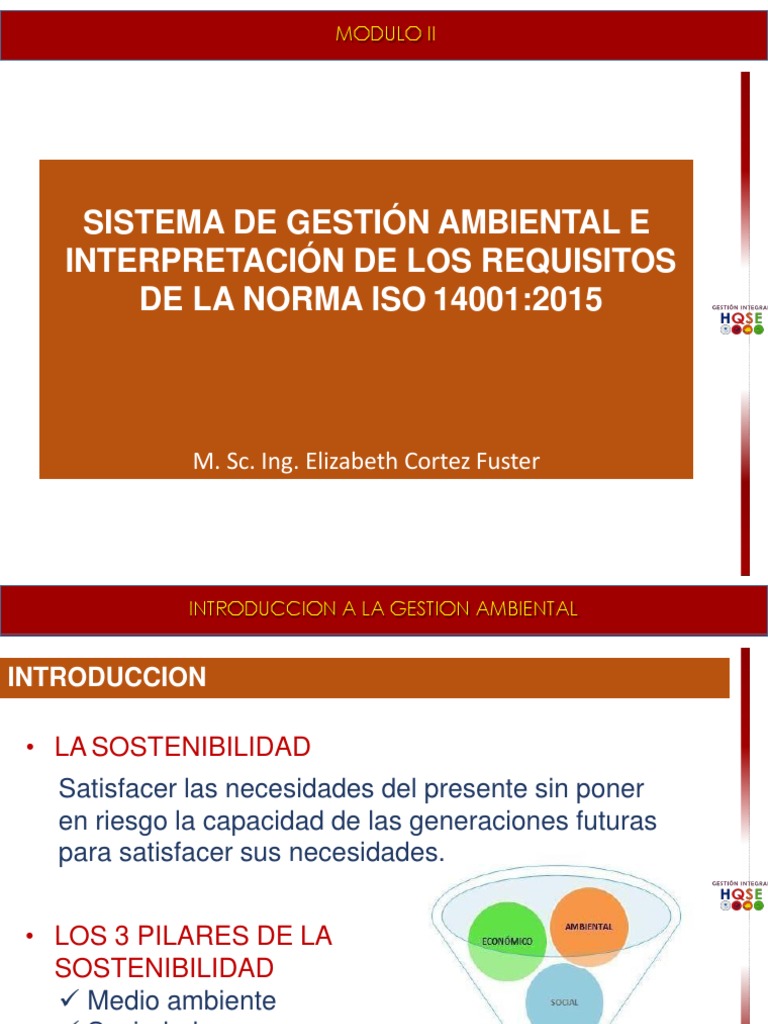 Guía de Gestión Ambiental ISO 14001 | PDF | Evaluación del ciclo de ...