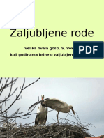 Zaljubljene Rode - Pps