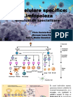 Prezentare Biologia Moleculara A Ciclului Celular 1