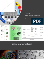 prezentare nanobio.pptx