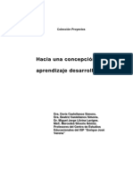 Hacia Una Concepción Del Aprendizaje Desarrollador PDF