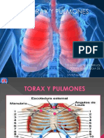 Semiologia Torax y Pulmones