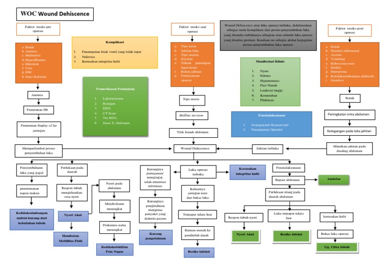WOC Wound Dehiscence PDF
