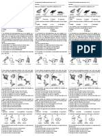 Evaluacion de Clasificacion Seres Vivos