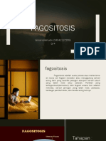 Pagositosis