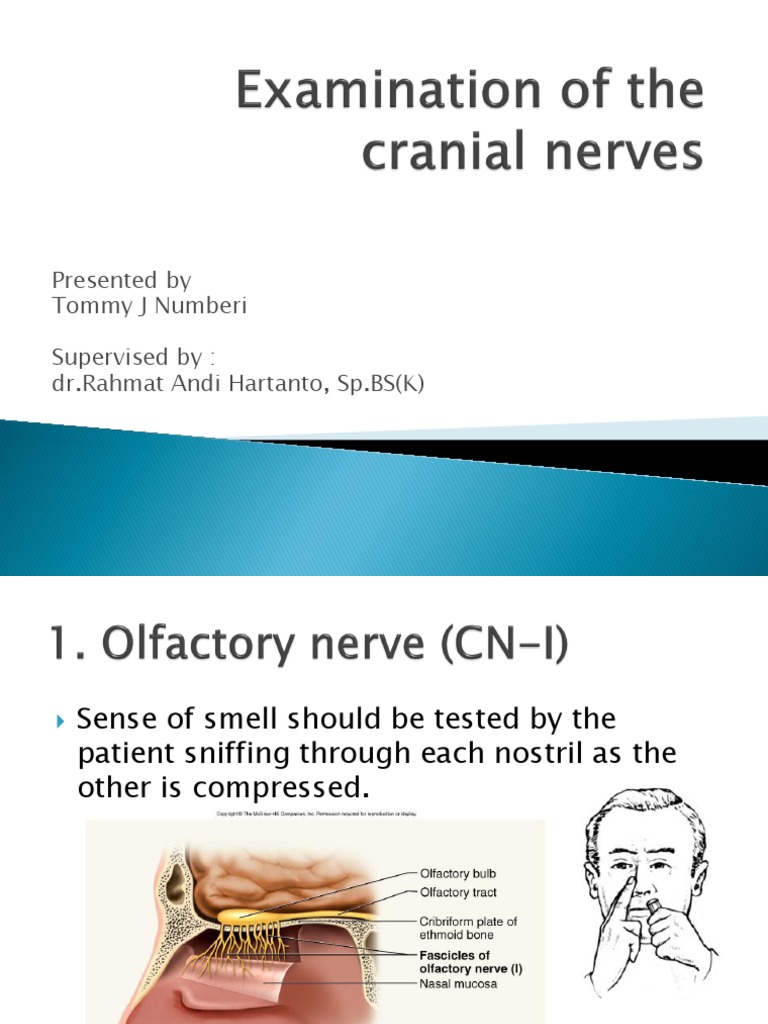 Cranial Nerve Examination Guide | PDF | Human Anatomy | Human Head And Neck