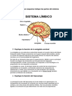 sistema limbico