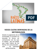 Raices Latinas