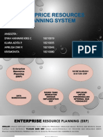 ERP IMPLEMENTATION RISKS