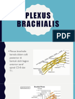 Pleksus Brachialis Jadi