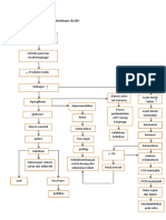 Pathway Ketoasidosis Diabetiku1