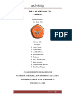 Makalah Sterilisasi PDF