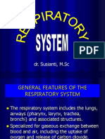 Respiratory system-ss.ppt