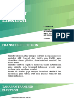 Sistem Transfer Elektron Secara Singkat