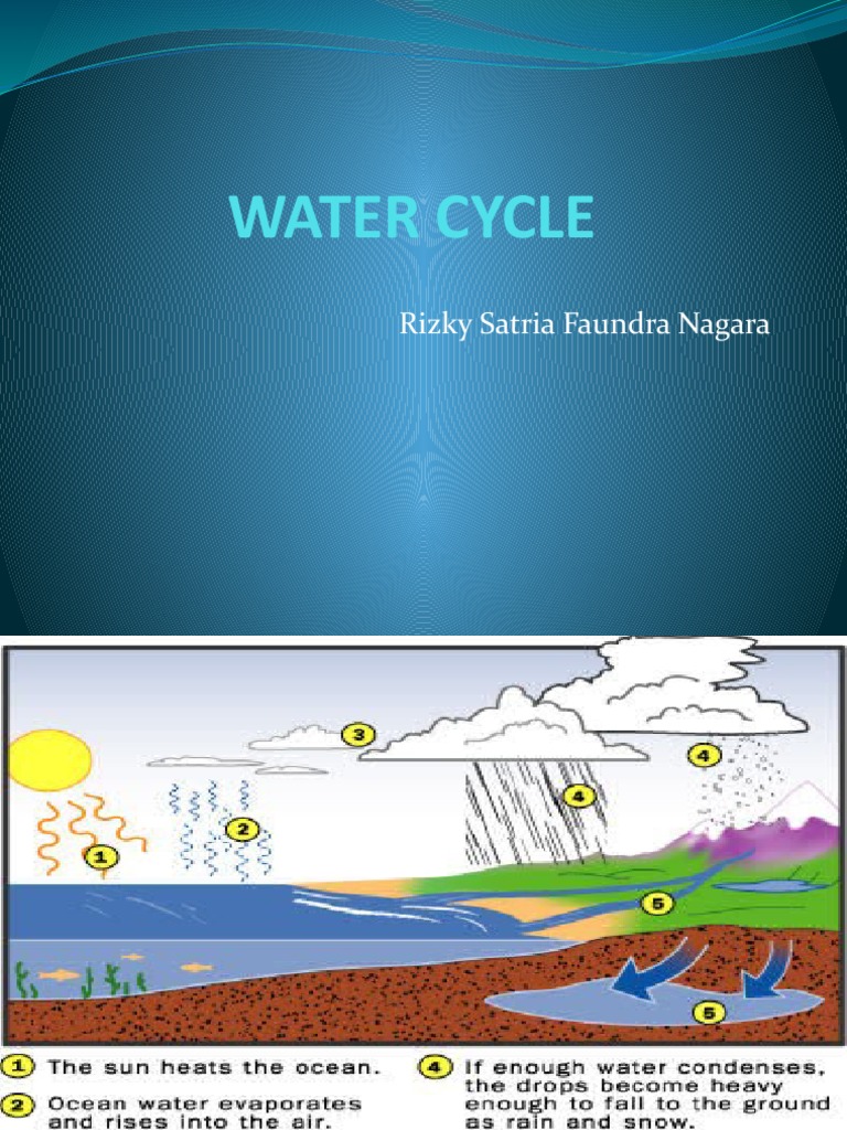 Water Cycle | PDF
