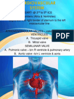 Cardiovascular System SC