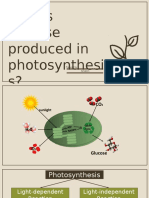 How Glucose Is Produced in Photosynthesis