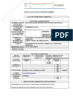 ACTA DE SUPERVISION AMBIENTAL Distrito Santiago de Pupuja