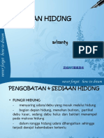 PENGOBATAN HIDUNG