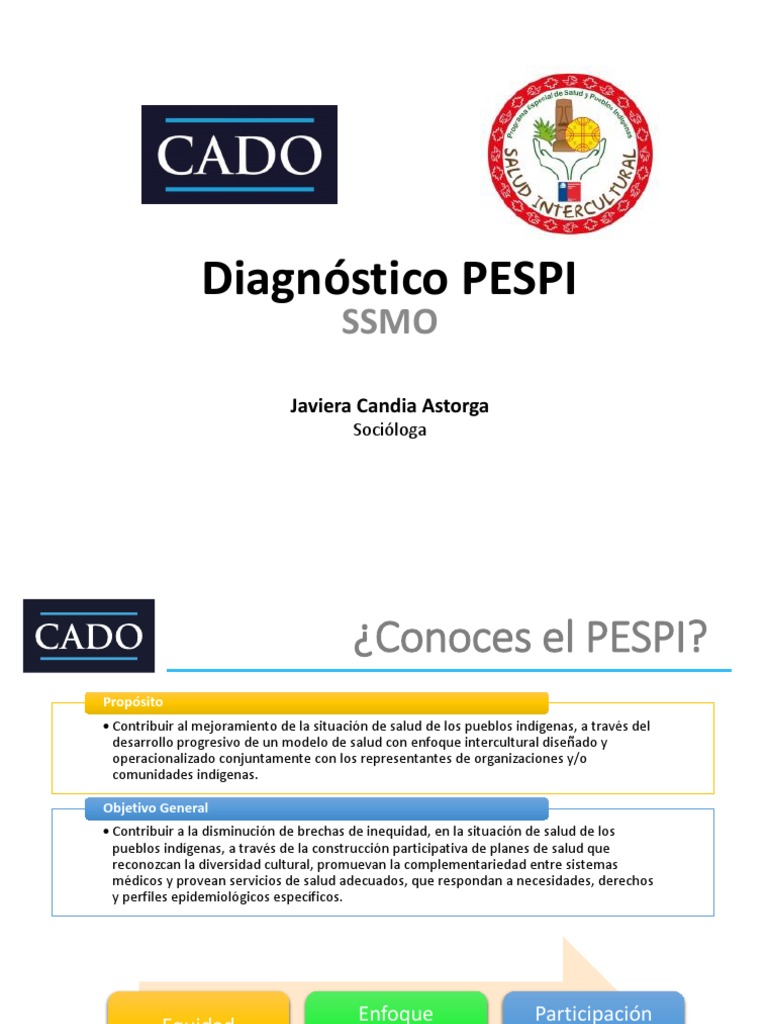 Diagnóstico del Programa PESPI en Salud Indígena | PDF ...