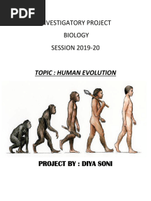 Investigatory Project