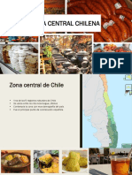 Zona Central de Chile
