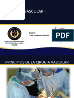 Vascular1 PDF